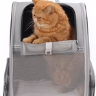 Cat Carrier Backpack - Pet Carrier with Transparent Hard Window for Small Dogs and Cats