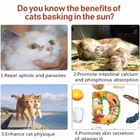 cat-window-perch-bed-hammock-seat-13kg-support-b08lbnqtg1-432031029